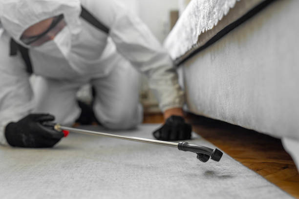 Professional Cockroach Control technician working in Struthers, OH